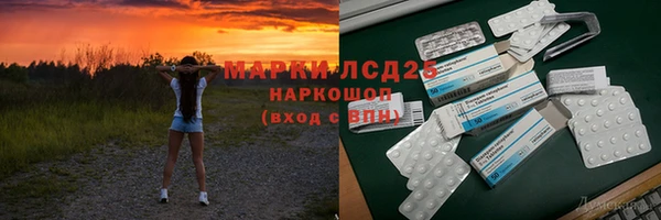 прущие грибы Балахна