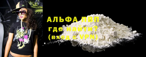 сатива Аркадак