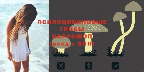 spice Балабаново