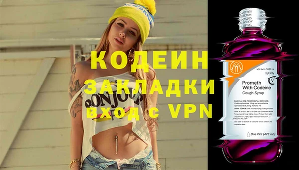 прущие грибы Балахна