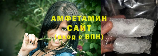 прущие грибы Балахна